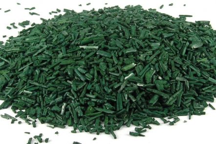Quels sont les bienfaits de la spiruline ?