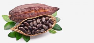 Le cacao, riche en zinc et en fer