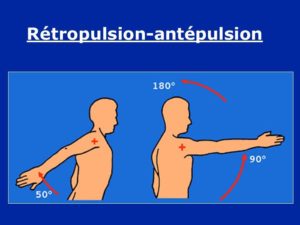 Rétropulsion et antépulsion du biceps