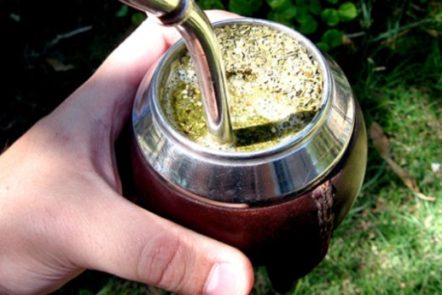 Les 3 bienfaits de la yerba maté sur la santé