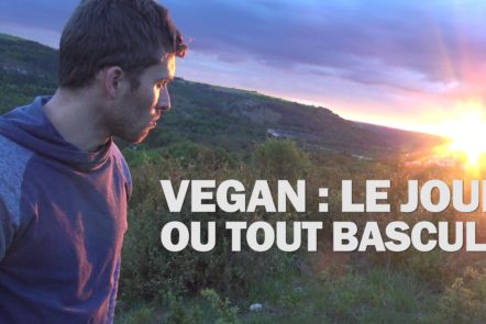 Le scandale des abattoirs et comment agir à notre échelle