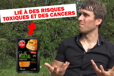 Tout savoir sur les similis carnés, les alternatives végétales à la viande.