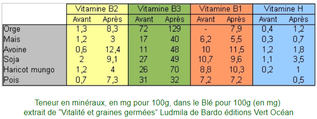 Tableau avec les teneurs en vitamines de plusieurs graines germées (orge, mais, avoine, soja, haricot mungo, pois