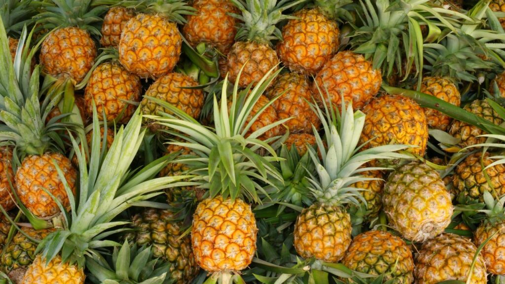 Ananas
